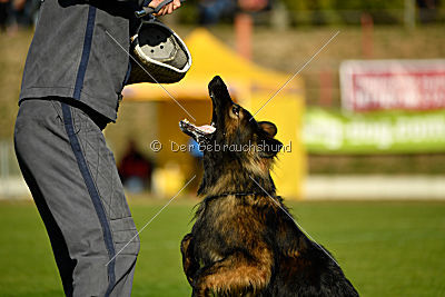 HotShot vom Hessenstein