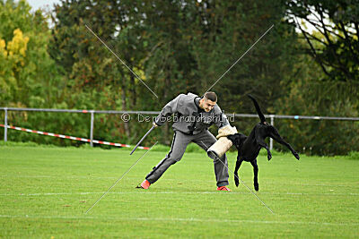 Hunter