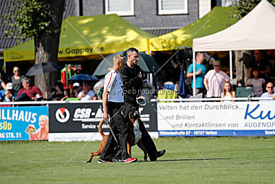 Hunter vom Hollermorgen