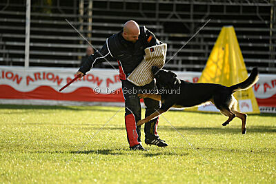 Imzedrift's Lotus
