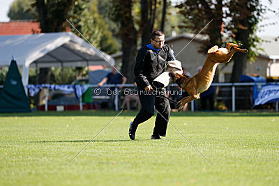 Independent Spirit's Isidora