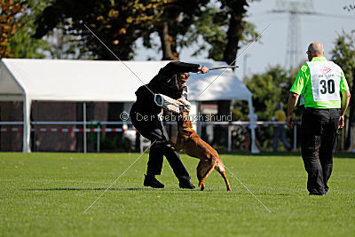 Independent Spirit's Isidora