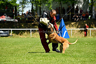 Independent Spirit's Moon