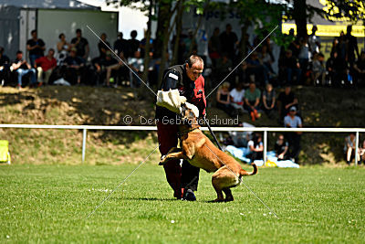 Independent Spirit's Moon