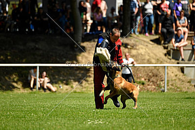 Independent Spirit's Moon