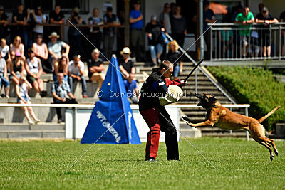 Independent Spirit's Moon