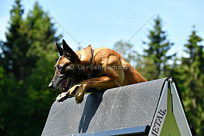 Independent Spirit's Moon