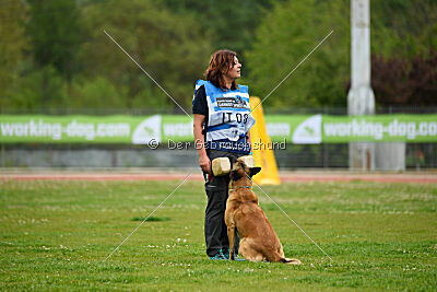 Indy vom Causa Nostre Letitia