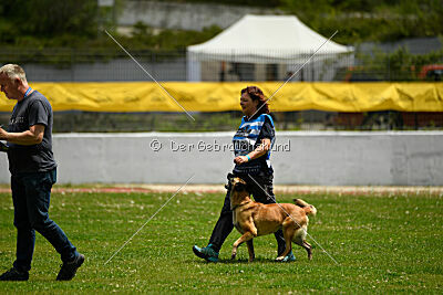Indy vom Causa Nostre Letitia