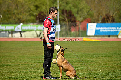 Infinity vom blauen Mistral