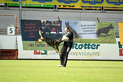 Inge von der Basileia