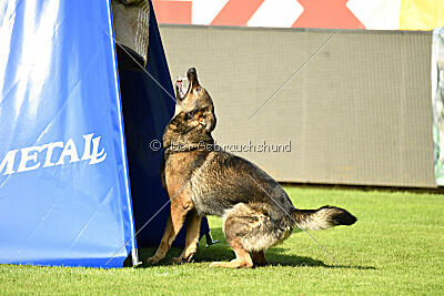 Inge von der Basileia