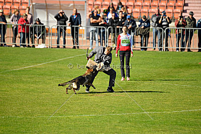 Izzy vom Spektefeld