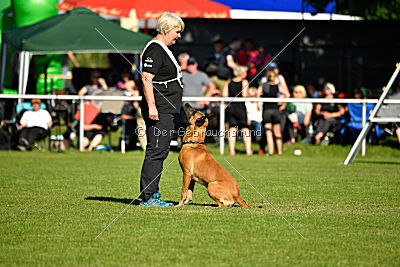 J'Lux vom Brunsbeker Land