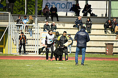 Jarak Perro de la Casa Negra