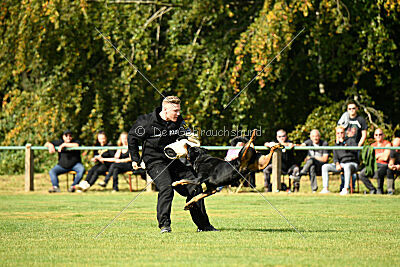 Jimmy von der Drachenhöhle