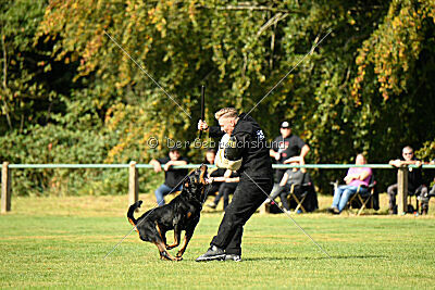 Jimmy von der Drachenhöhle