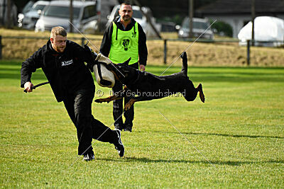Jimmy von der Drachenhöhle
