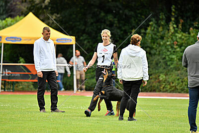 Joyce aus der Bohmter Heide