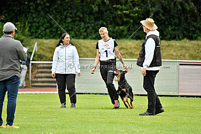 Joyce aus der Bohmter Heide