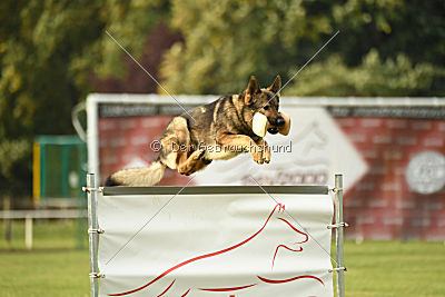 Kalle von der Knappenmühle