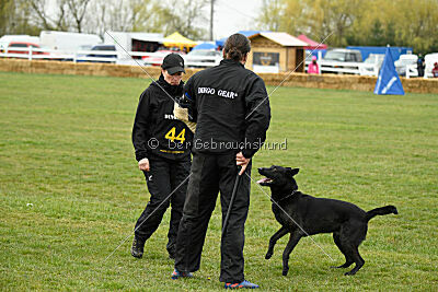 Kamaro of Flying Attacks