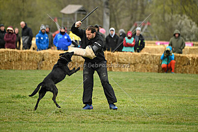 Kamaro of Flying Attacks