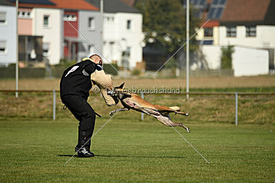 Keshia vom Brunsbeker Land
