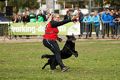 King vom Tim Thaler