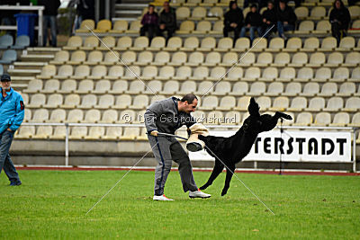 King vom Tim Thaler