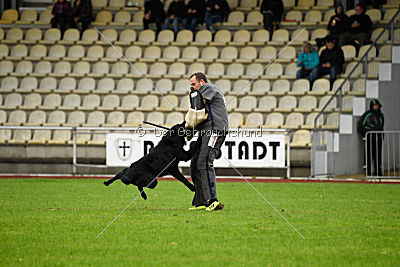 King vom Tim Thaler