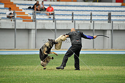Kliff vom Floyd Haus