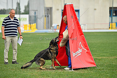 Kliff vom Floyd Haus