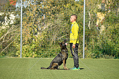 Kliff von der Friesenklippe