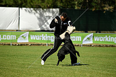 Lakritze von Elberfeld