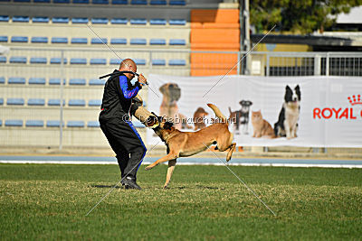 Largo Farsal