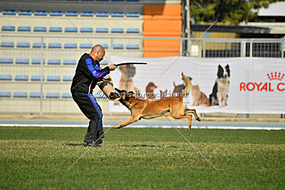 Largo Farsal