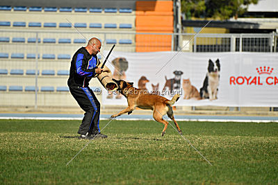 Largo Farsal