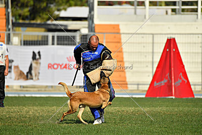 Largo Farsal
