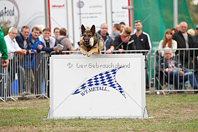 Lasko vom Klüttenplatz