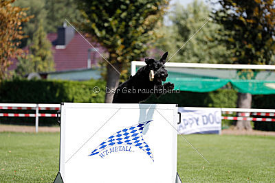 Lasse vom Goldbergsee