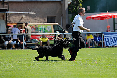 Lasse vom Goldbergsee