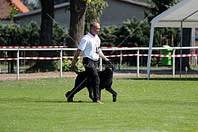 Lasse vom Goldbergsee