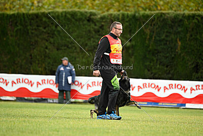 Leeroy des Orckis de l'Adret