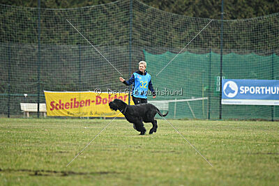 Lennox Lewis Goldest Danubius