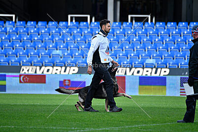 Leo de Jardines del Real