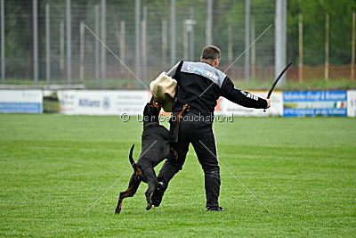 Lexa vom Hellerwald