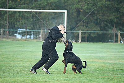 Liyan vom Schwarzen Grat