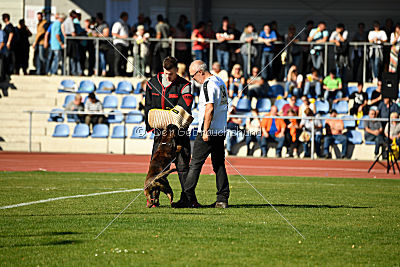Lomme van de Hazenberg