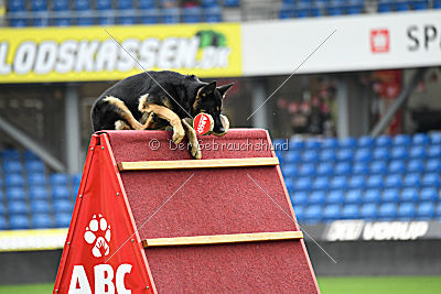 Louka von Bussardwald